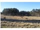 243 Sheep Station Road, Oberon NSW 2787