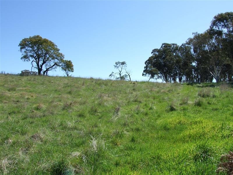 1694 Abercrombie Road, Oberon NSW 2787