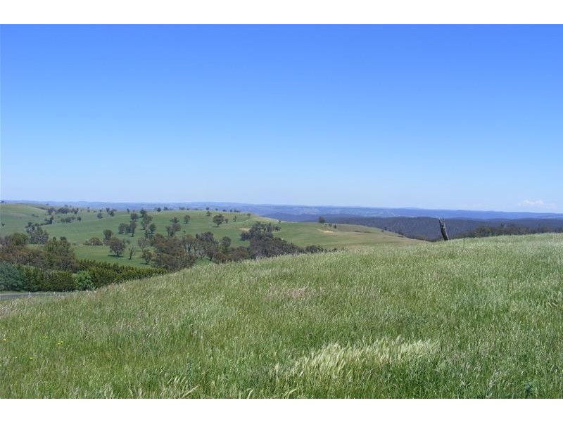 Abercrombie Road, Oberon NSW 2787