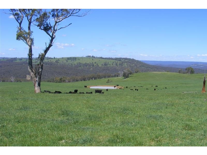 Abercrombie Road, Oberon NSW 2787