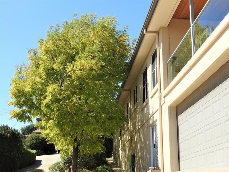 6 William Street, Millthorpe NSW 2798