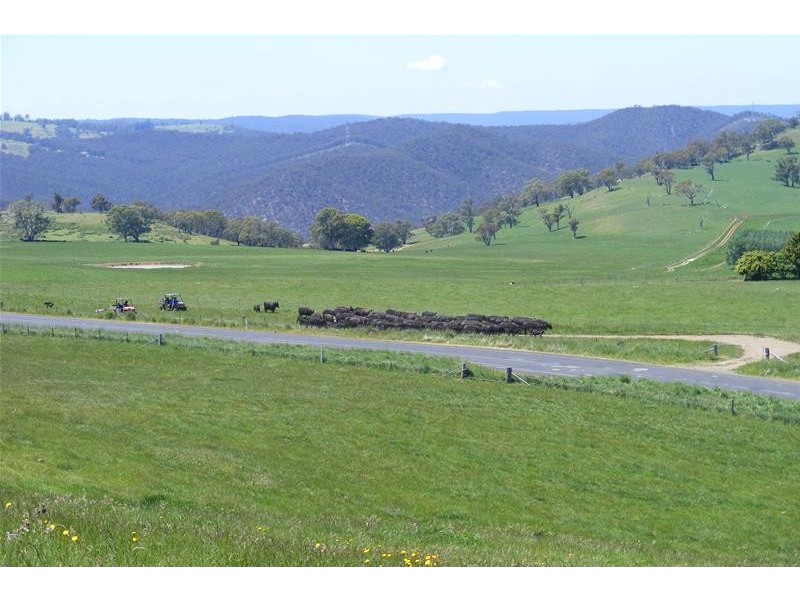 6335 Abercrombie Road, Taralga NSW 2580