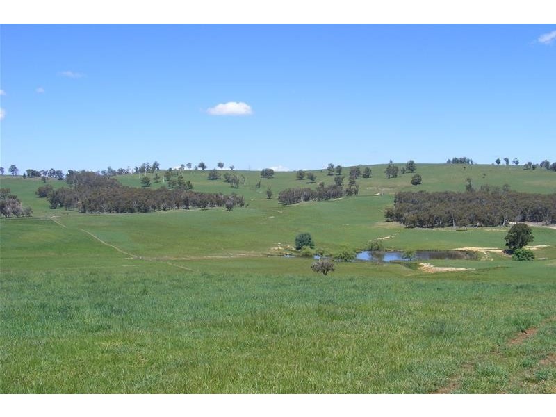 6335 Abercrombie Road, Taralga NSW 2580