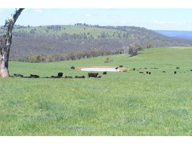 6335 Abercrombie Road, Taralga NSW 2580