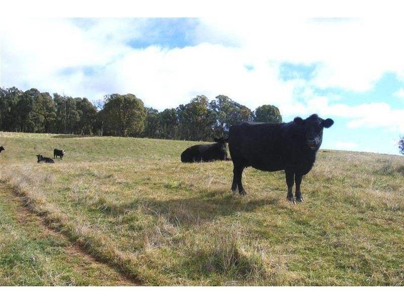 865 Campbells River Road, Oberon NSW 2787