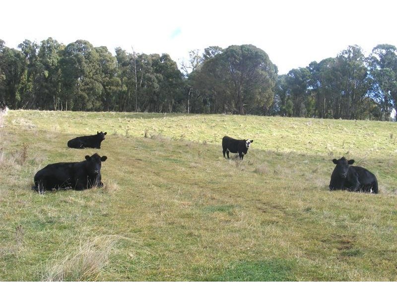 865 Campbells River Road, Oberon NSW 2787