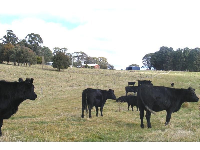 865 Campbells River Road, Oberon NSW 2787