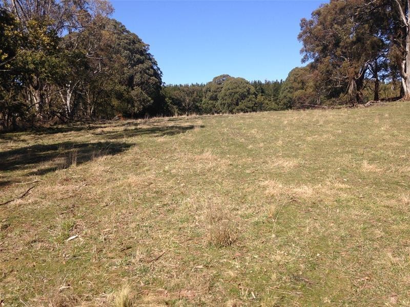 306 Willow Springs Road, Oberon NSW 2787