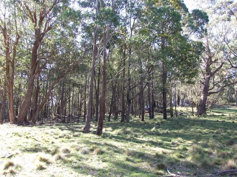 Lot 12 Ferndale Road, Oberon NSW 2787