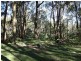 Lot 12 Ferndale Road, Oberon NSW 2787