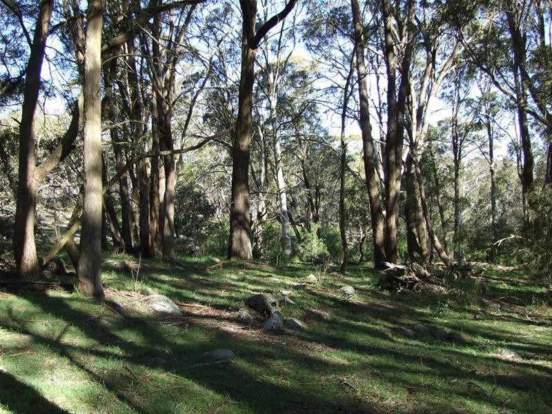 Lot 12 Ferndale Road, Oberon NSW 2787