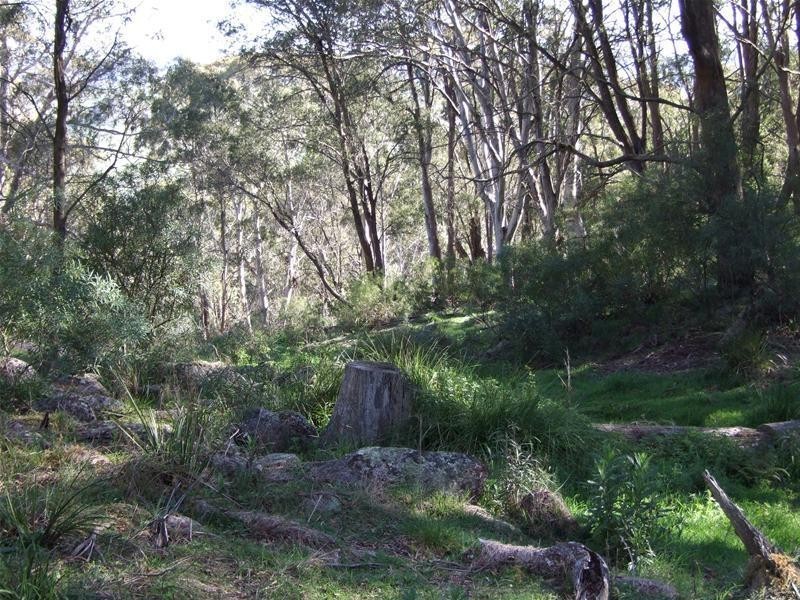 Lot 12 Ferndale Road, Oberon NSW 2787