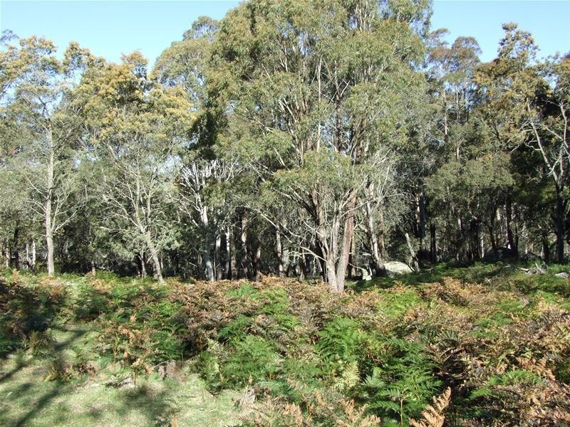 Lot 12 Ferndale Road, Oberon NSW 2787