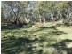 Lot 12 Ferndale Road, Oberon NSW 2787