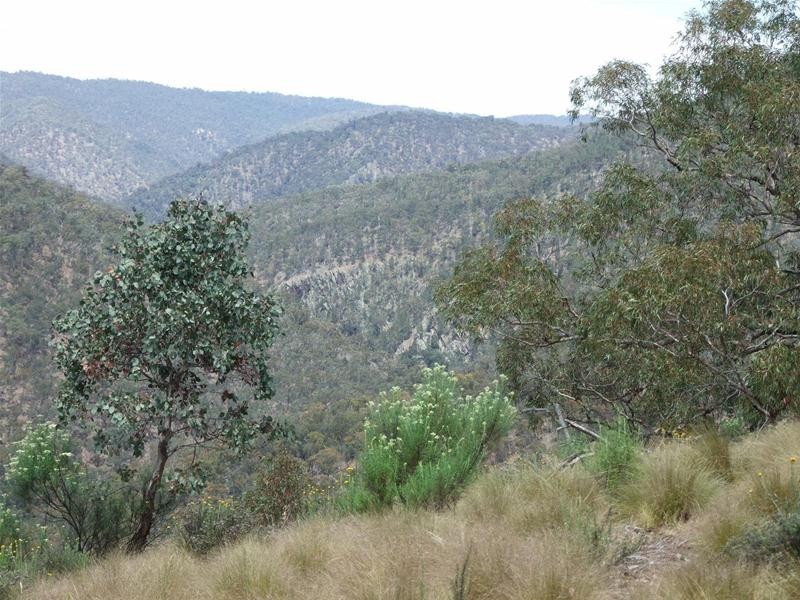 308 Emden Vale Road, Burraga NSW 2795