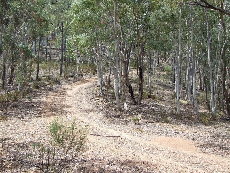 308 Emden Vale Road, Burraga NSW 2795