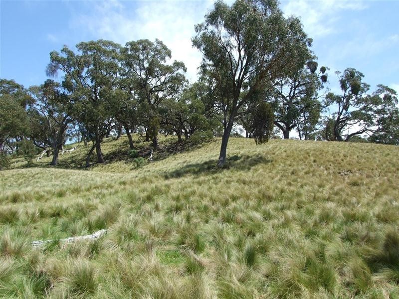 308 Emden Vale Road, Burraga NSW 2795