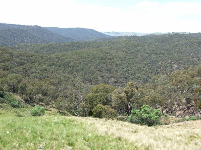 308 Emden Vale Road, Burraga NSW 2795