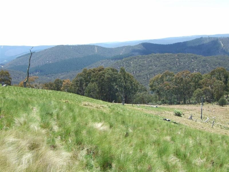 308 Emden Vale Road, Burraga NSW 2795