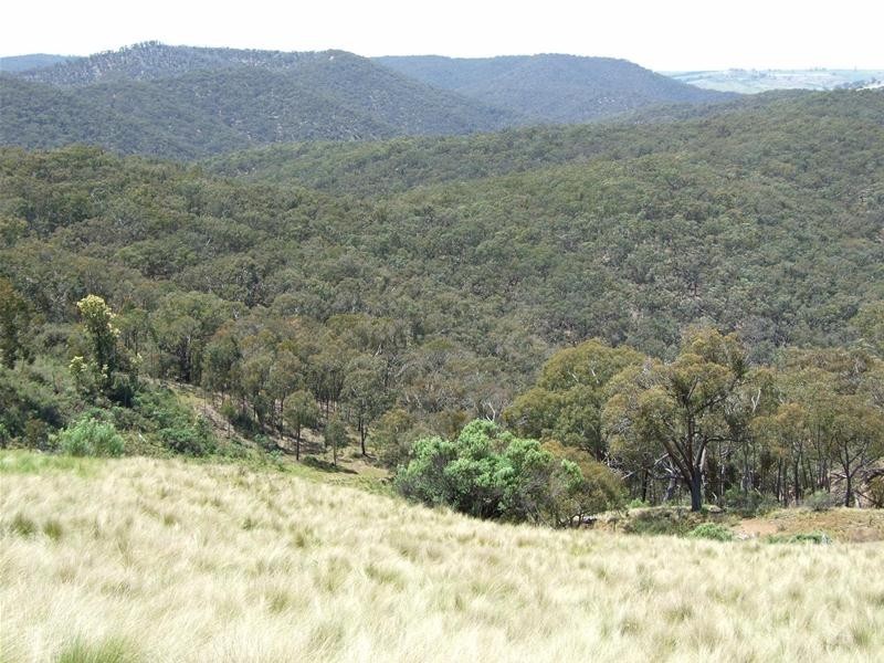 308 Emden Vale Road, Burraga NSW 2795