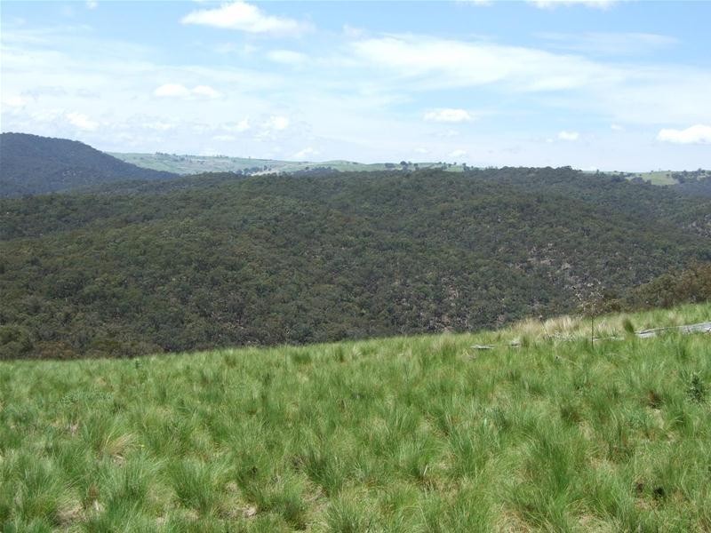 308 Emden Vale Road, Burraga NSW 2795