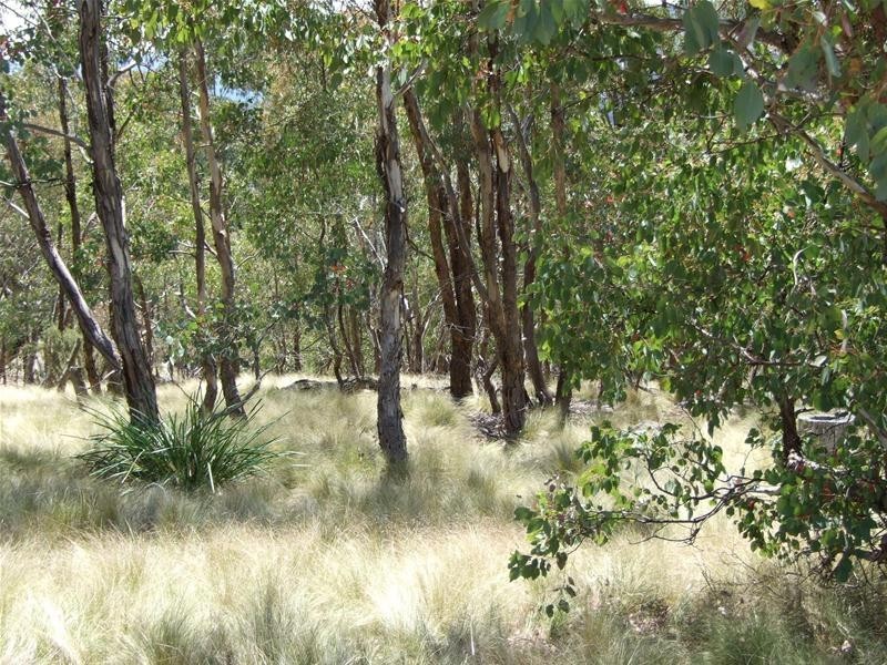 308 Emden Vale Road, Burraga NSW 2795