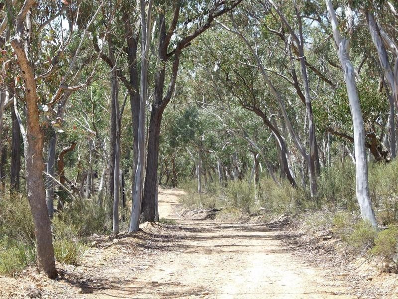 308 Emden Vale Road, Burraga NSW 2795