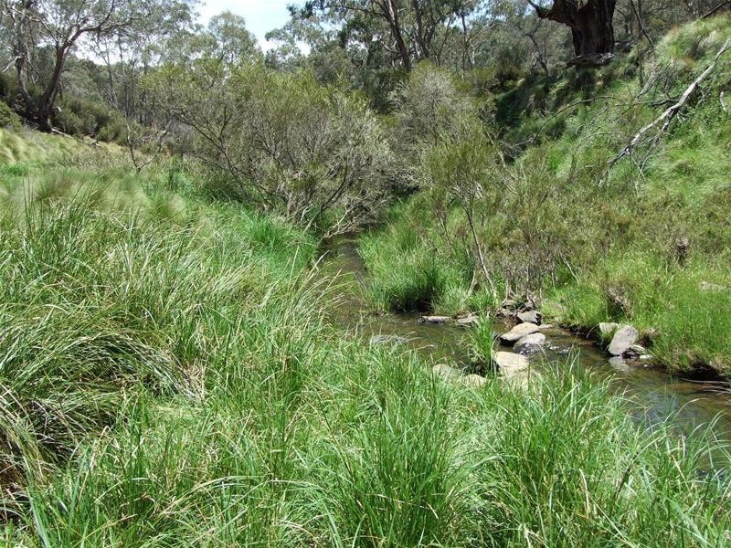 308 Emden Vale Road, Burraga NSW 2795