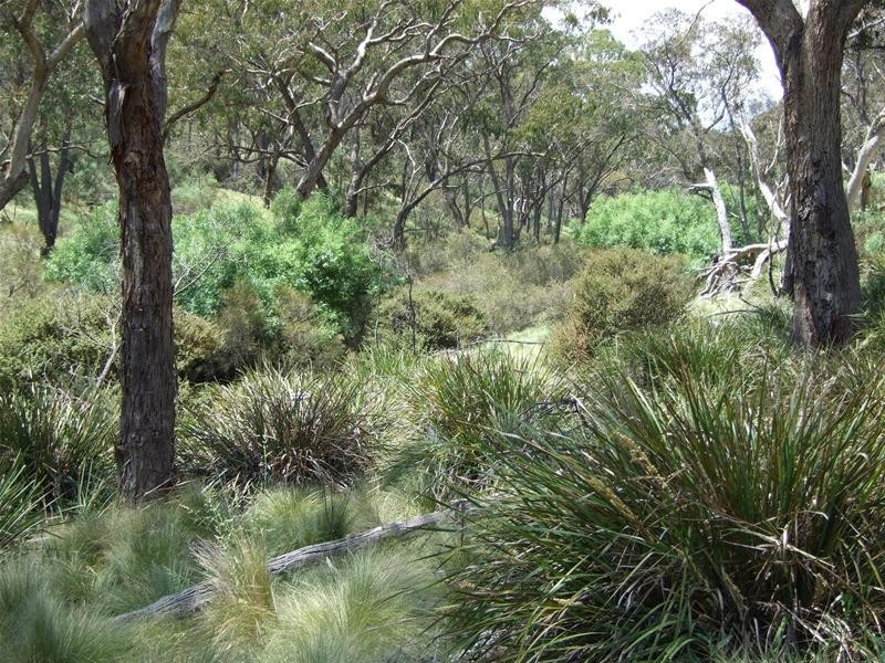 308 Emden Vale Road, Burraga NSW 2795