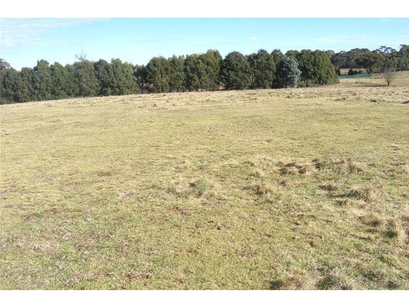 199 Rutters Ridge Road, Oberon NSW 2787