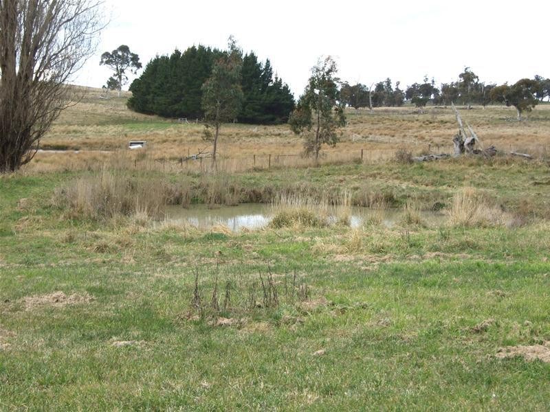 Black Springs NSW 2787