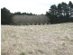 Black Springs NSW 2787