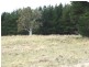 Black Springs NSW 2787