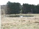 Black Springs NSW 2787