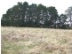 Black Springs NSW 2787