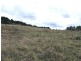 Black Springs NSW 2787