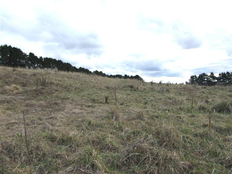 Black Springs NSW 2787