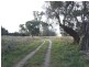 Black Springs NSW 2787