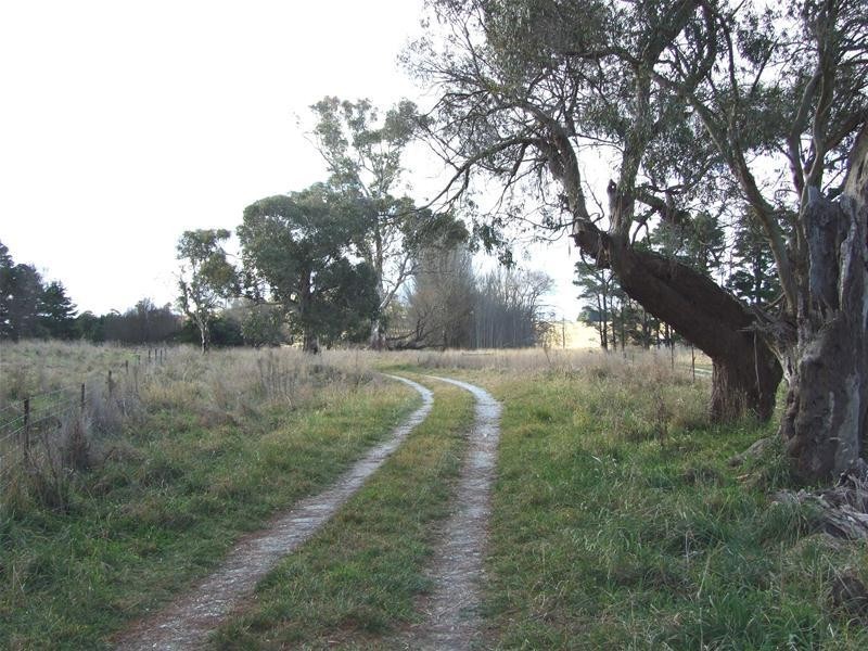 Black Springs NSW 2787