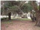 Black Springs NSW 2787
