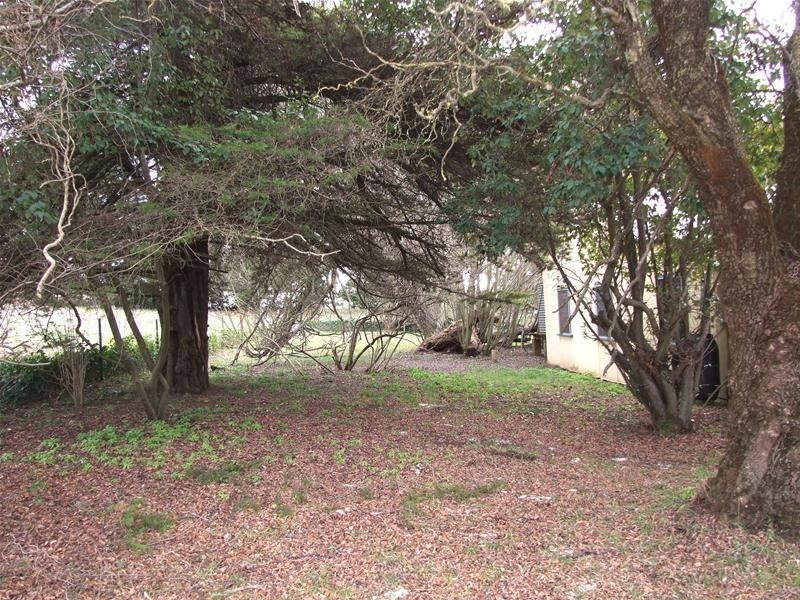 Black Springs NSW 2787
