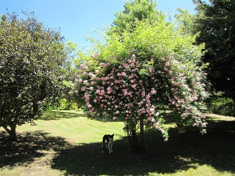 24-30 Oberon Street, Oberon NSW 2787