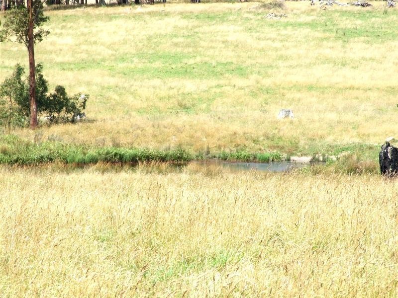 297 Isabella Road, Oberon NSW 2787