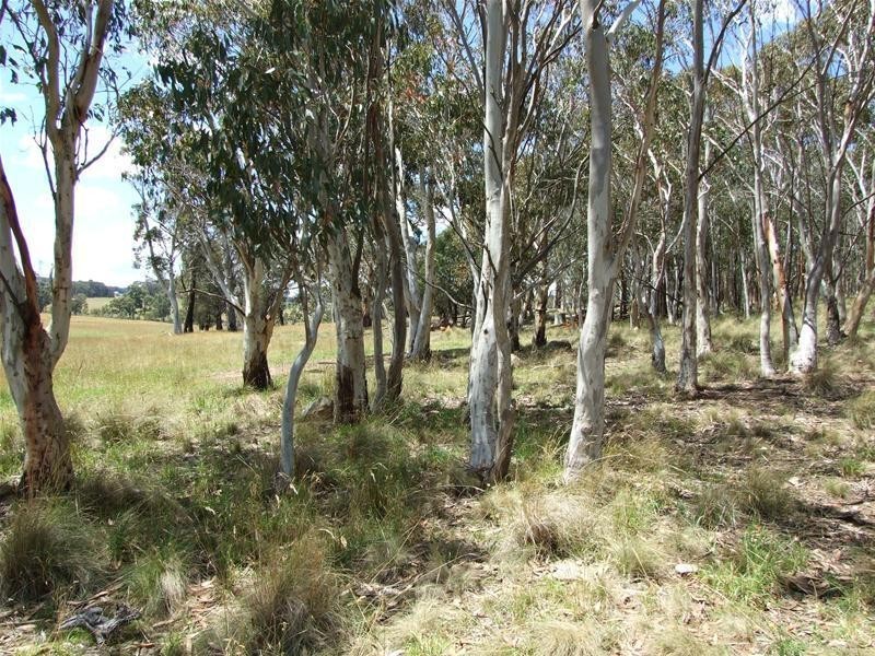 297 Isabella Road, Oberon NSW 2787