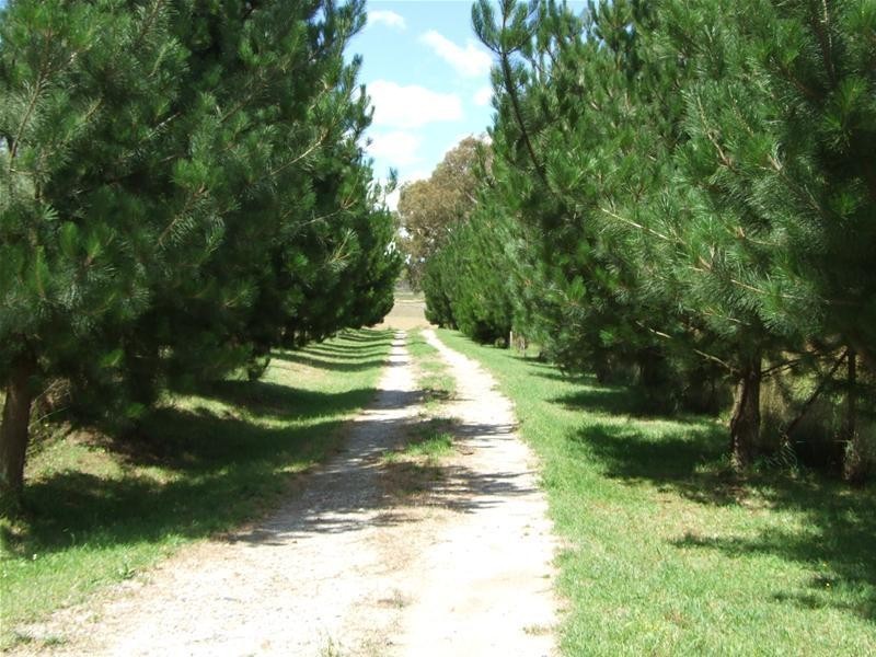 297 Isabella Road, Oberon NSW 2787