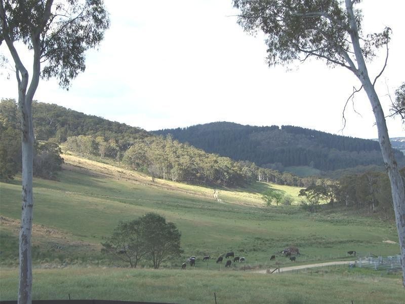 704 Greywacke Road, Oberon NSW 2787