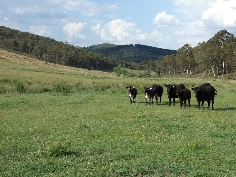 704 Greywacke Road, Oberon NSW 2787