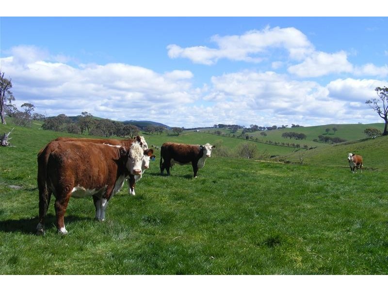 2928 Hobby’s Yards Road, Blayney NSW 2799