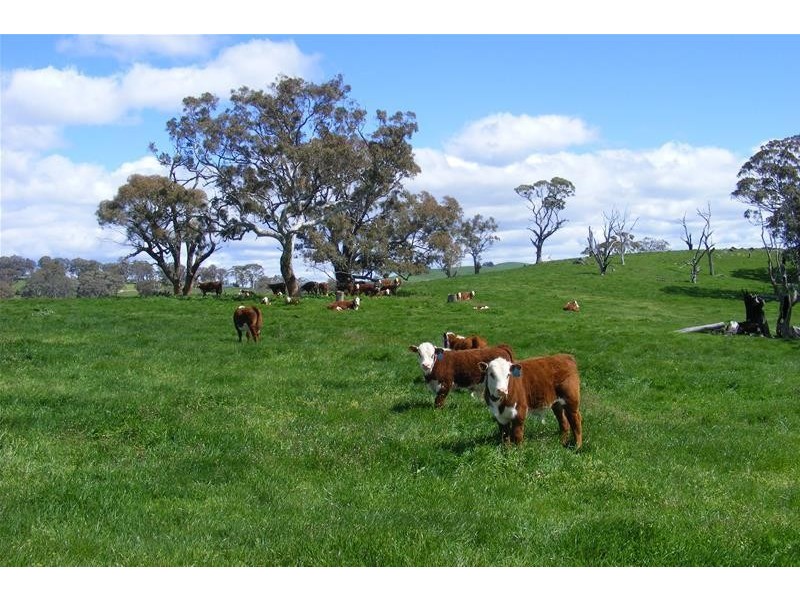 2928 Hobby’s Yards Road, Blayney NSW 2799