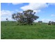 2928 Hobby’s Yards Road, Blayney NSW 2799